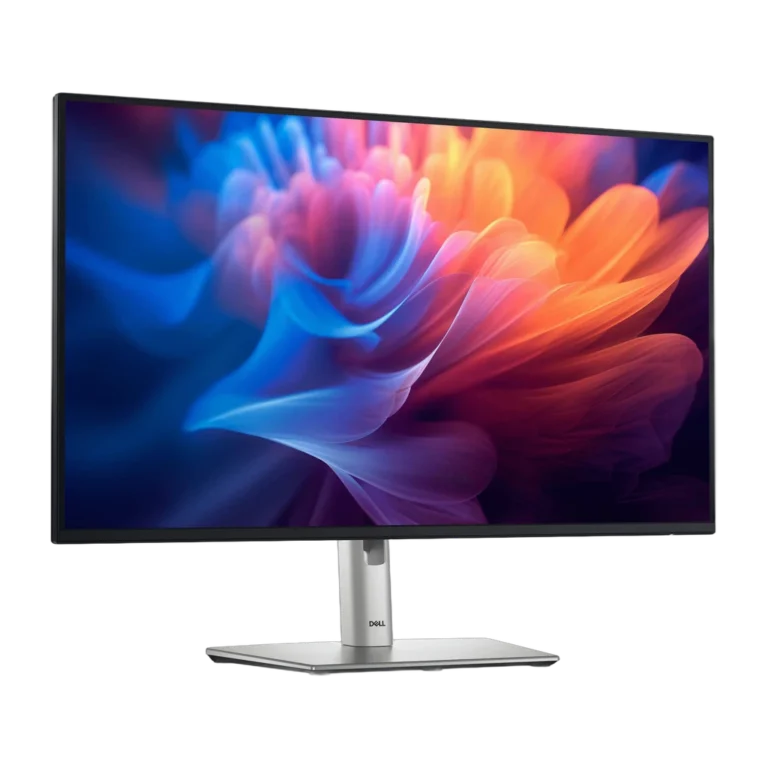 Écran Dell P2725H 27" Full HD IPS 100 Hz HDMI/VGA/DisplayPort